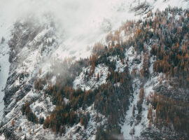 jan-kronies-vveK8fSO9TA-unsplash