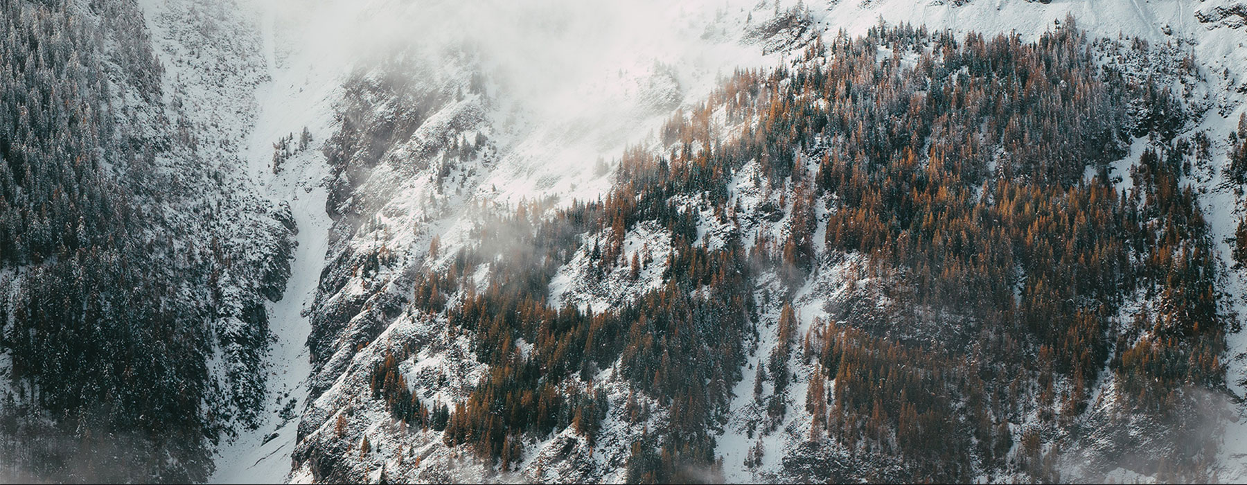 jan-kronies-vveK8fSO9TA-unsplash