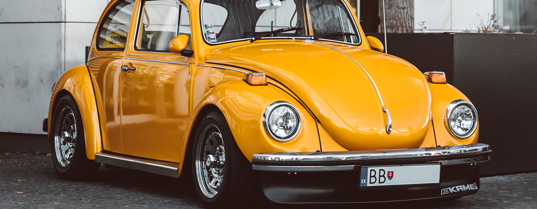 martin-katler-V58Dl1fv42c-unsplash